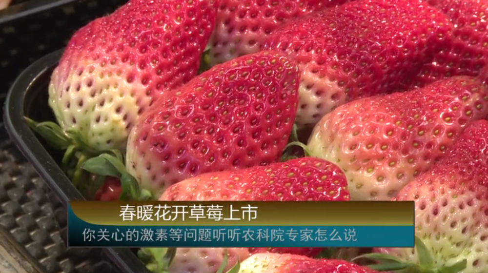 ��ů���_(k��i)��ݮ���������P(gu��n)�ĵļ��صȆ�(w��n)�} (t��ng) (t��ng)�r(n��ng)��Ժ������ô�f(shu��)