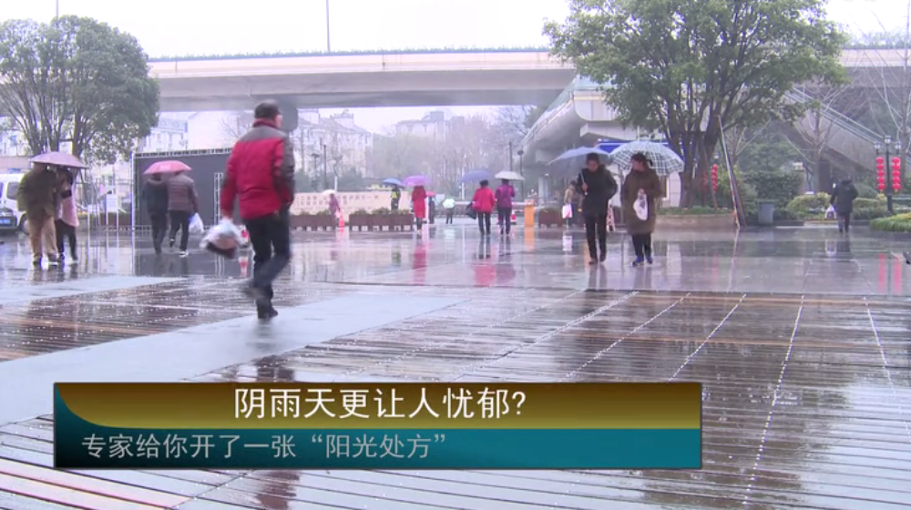 ��������׌�ˑn�����㽭ʡ�����t(y��)Ժ�����l(w��i)���ƌ��ҽo���_(k��i)��һ��